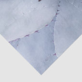 Desert Cactus Close-up-deklaagpapier Tissuepapier (Detail)