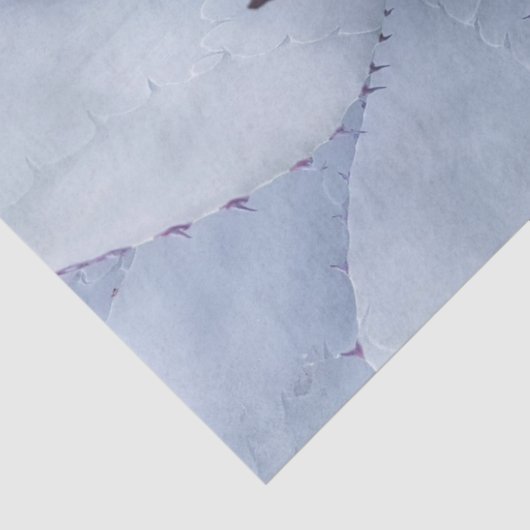 Desert Cactus Close-up-deklaagpapier Tissuepapier (Detail)