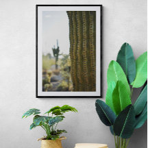 Desert Cactus Fotografie Poster