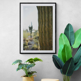 Desert Cactus Fotografie Poster