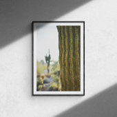 Desert Cactus Fotografie Poster