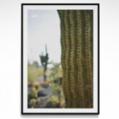 Desert Cactus Fotografie Poster
