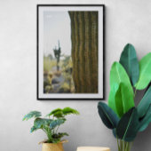 Desert Cactus Fotografie Poster