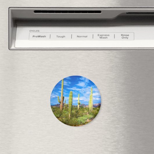 Desert cactus landscape, Arizona Magneet (Insitu (Vaatwasser))