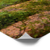 Desert cactus landscape, Arizona Poster (Hoek)