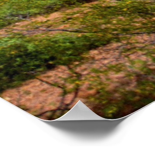 Desert cactus landscape, Arizona Poster (Hoek)