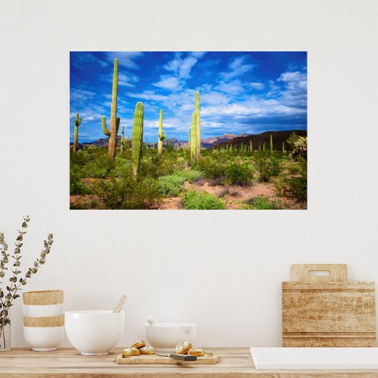 Desert cactus landscape, Arizona Poster (Keuken)