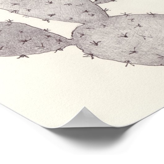 Desert Cactus Poster (Hoek)