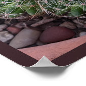 Desert Cactus Poster (Hoek)