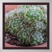Desert Cactus Poster (Voorkant)