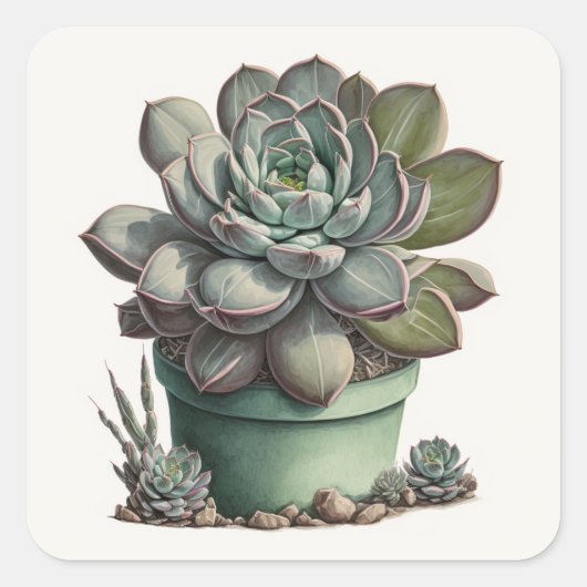 Desert Cactus Sticker (Voorkant)