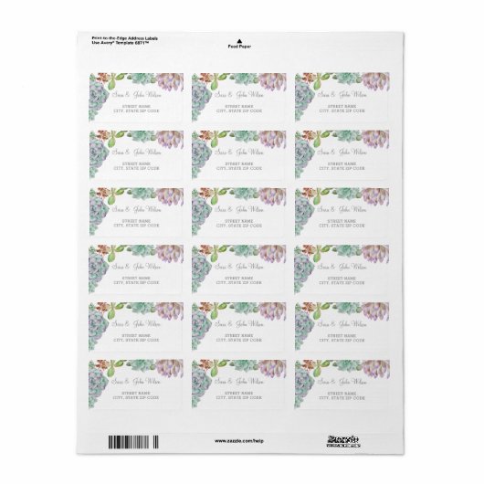 Desert Cactus Succulents Wedding adresetiketten Etiket (Full Sheet)