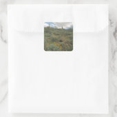 Desert Cactus Symphony Art Custom Sticker Decals (Tas)