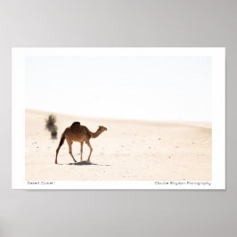 Desert Camel 1 Poster