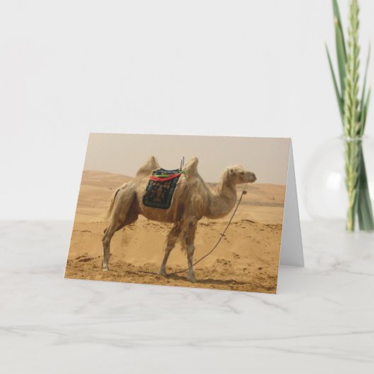 Desert Camel Blank-kaart Kaart (Voorkant)