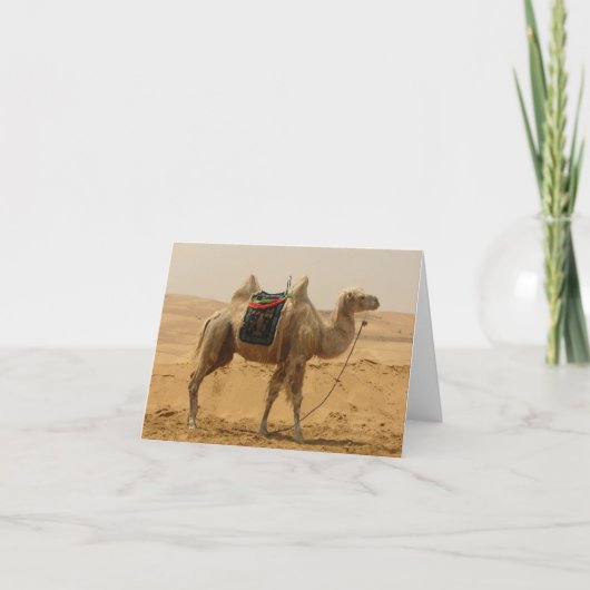 Desert Camel Blank-kaart Kaart (Voorkant)