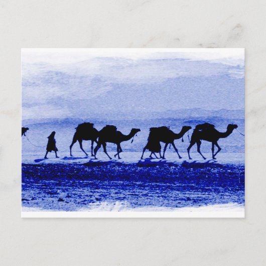 Desert Camel Caravan Blue Briefkaart (Voorkant)
