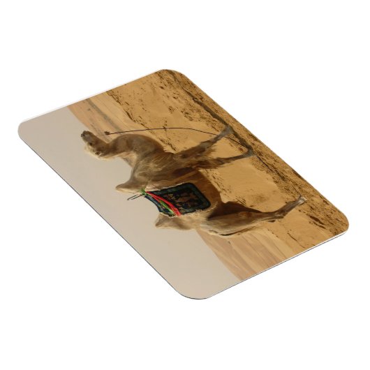 Desert Camel Magnet Magneet (Rechterzijde)