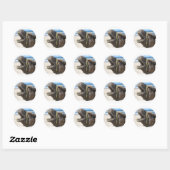 Desert Camel Stickers (Vel)