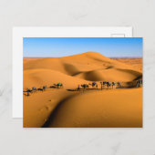DESERT CAMEL TRAIN - Sand Dunes in Tamnougalt Briefkaart (Voorkant / Achterkant)