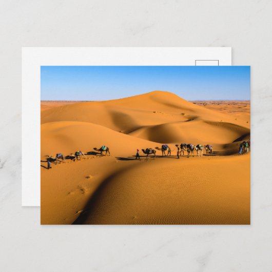 DESERT CAMEL TRAIN - Sand Dunes in Tamnougalt Briefkaart (Voorkant / Achterkant)