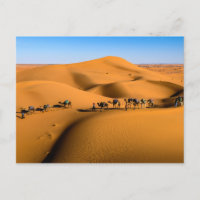 DESERT CAMEL TRAIN - Sand Dunes in Tamnougalt