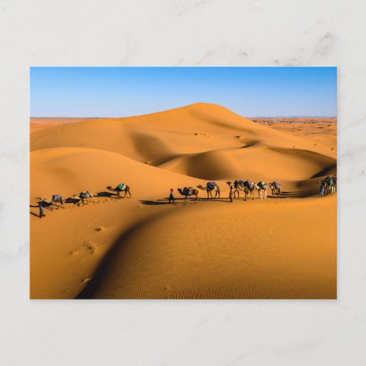 DESERT CAMEL TRAIN - Sand Dunes in Tamnougalt Briefkaart (Voorkant)