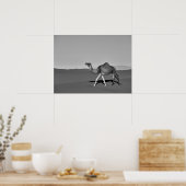Desert Camel Walking Black and White Poster (Keuken)