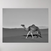 Desert Camel Walking Black and White Poster (Voorkant)