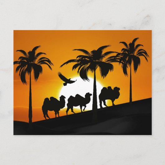 Desert Camels in zonsondergang Briefkaart (Voorkant)
