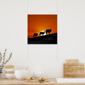 Desert Camels in zonsondergang Poster (Keuken)
