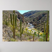 Desert Canyon Poster (Voorkant)
