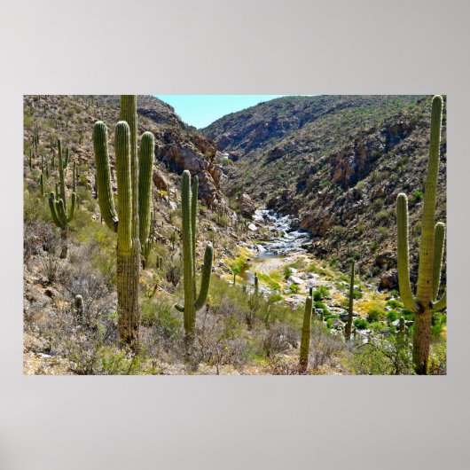 Desert Canyon Poster (Voorkant)