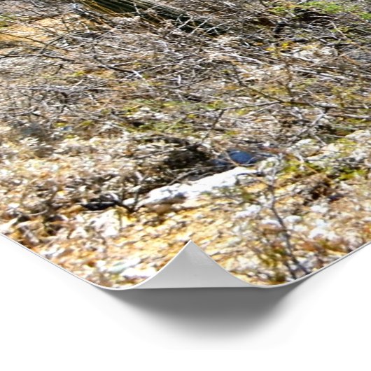 Desert Canyon Poster (Hoek)