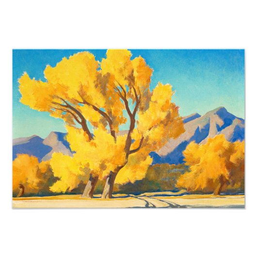 Desert Cottonwoods, Arizona by Maynard Dixon Foto Afdruk (Voorkant)