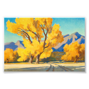 Desert Cottonwoods, Arizona by Maynard Dixon Foto Afdruk