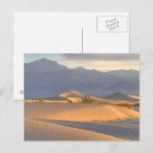 Desert Dawn Briefkaart (Voorkant / Achterkant)