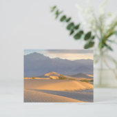 Desert Dawn Briefkaart (Staand voorkant)