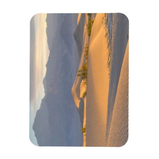 Desert Dawn Magneet (Verticaal)