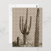 Desert diva briefkaart (Voorkant / Achterkant)