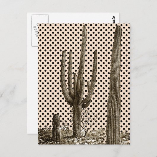 Desert diva briefkaart (Voorkant / Achterkant)