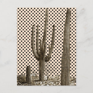 Desert diva briefkaart