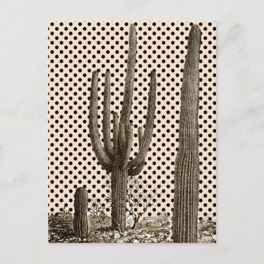 Desert diva briefkaart (Voorkant)