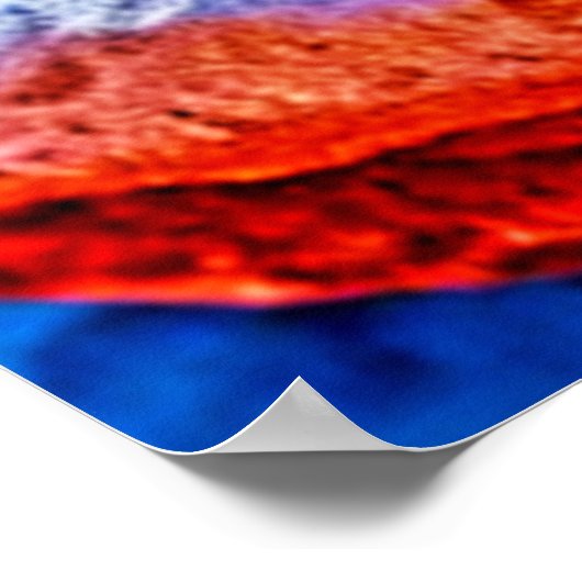 Desert Dragon Lizard Design Poster (Hoek)