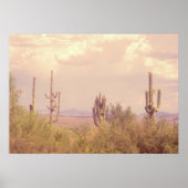 Desert Dream poster (Voorkant)