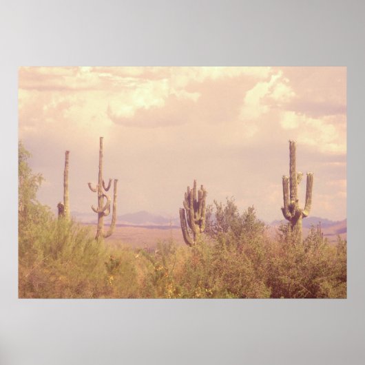 Desert Dream poster (Voorkant)