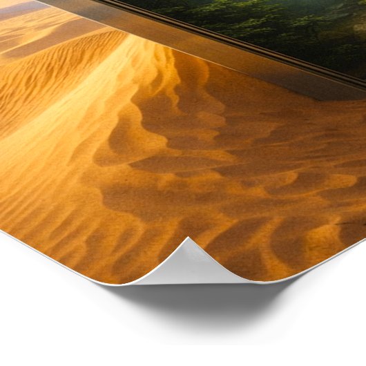 Desert Elevator Poster (Hoek)