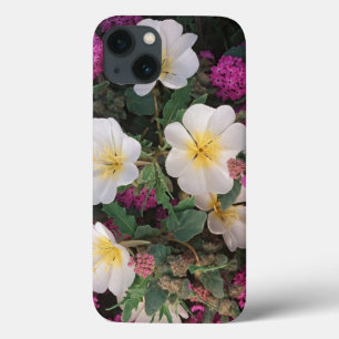 Desert Evening Primrose en Desert Sand Verbena iPhone 13 Hoesje