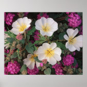 Desert Evening Primrose en Desert Sand Verbena Poster (Voorkant)