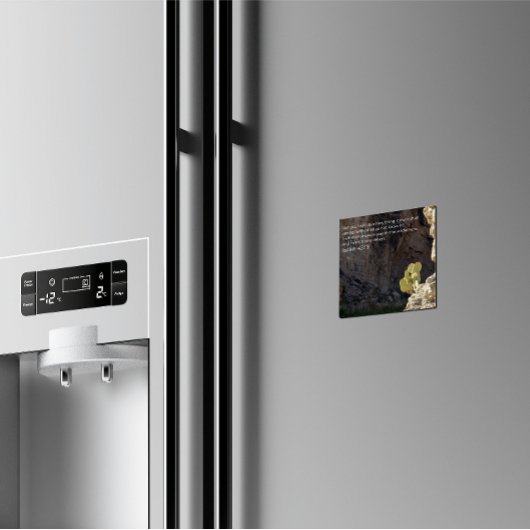 Desert Faith Collection Isaiah 43:19 KJV Magneet